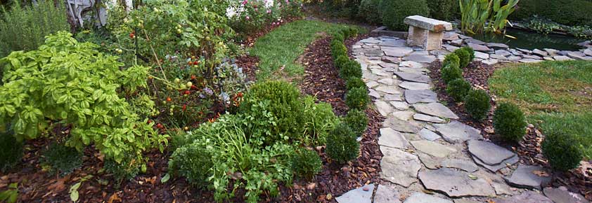 Slideshow Image 2