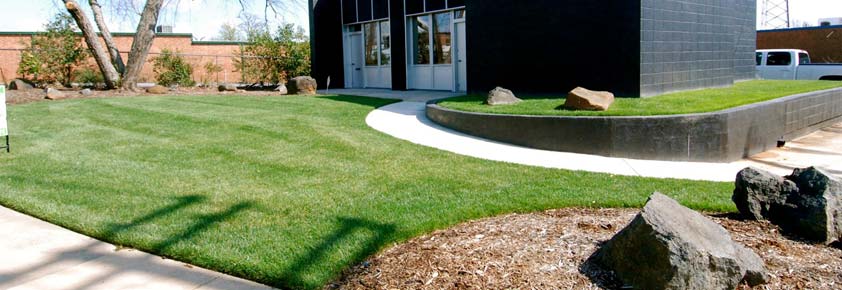 Slideshow Image 1